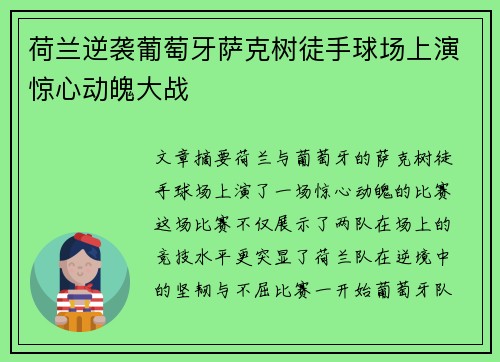 荷兰逆袭葡萄牙萨克树徒手球场上演惊心动魄大战