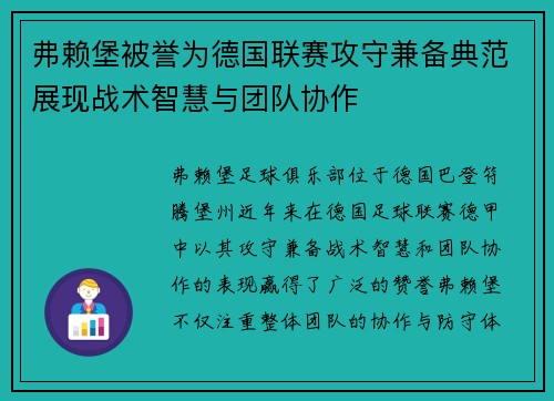 弗赖堡被誉为德国联赛攻守兼备典范展现战术智慧与团队协作