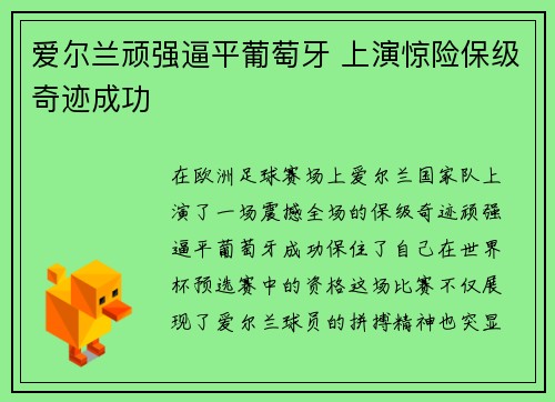 爱尔兰顽强逼平葡萄牙 上演惊险保级奇迹成功