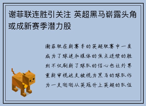 谢菲联连胜引关注 英超黑马崭露头角或成新赛季潜力股